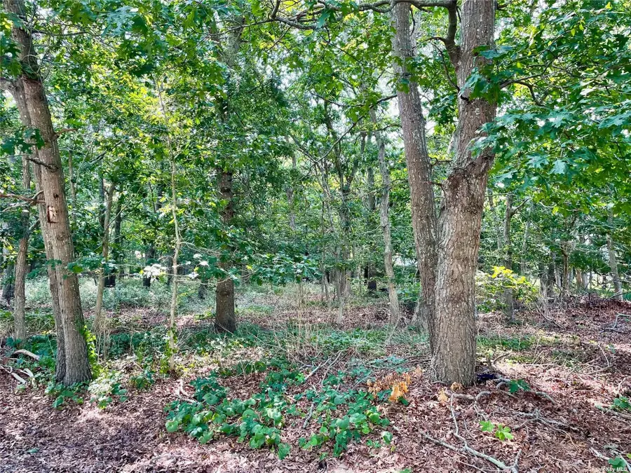 5 Warwick Road, East Hampton, NY 11937 - Image #2