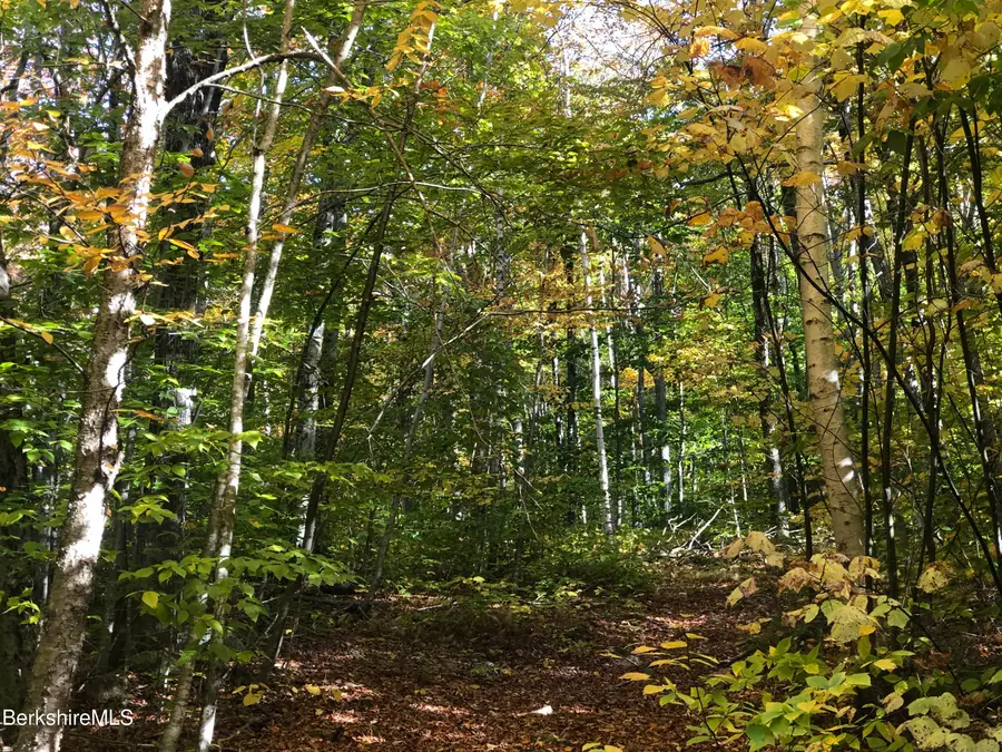 0 Andrea Dr, Stamford, VT 05352 - Image #3