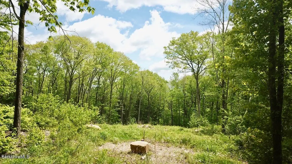 0 Jamie Ln, Sandisfield, MA 01255 - Image #1