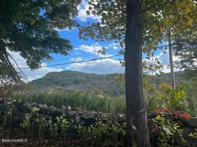 Main Rd & George Canon, Tyringham, MA 01264 - Image #1