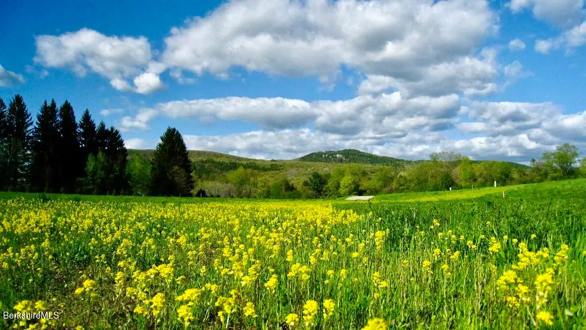 6 Van Deusenville Rd, Great Barrington, MA 01230 - Image #1