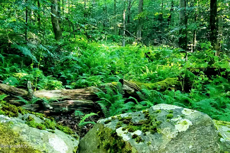 Lot 2B Leland Rd, Becket, MA 01223 - Image #2