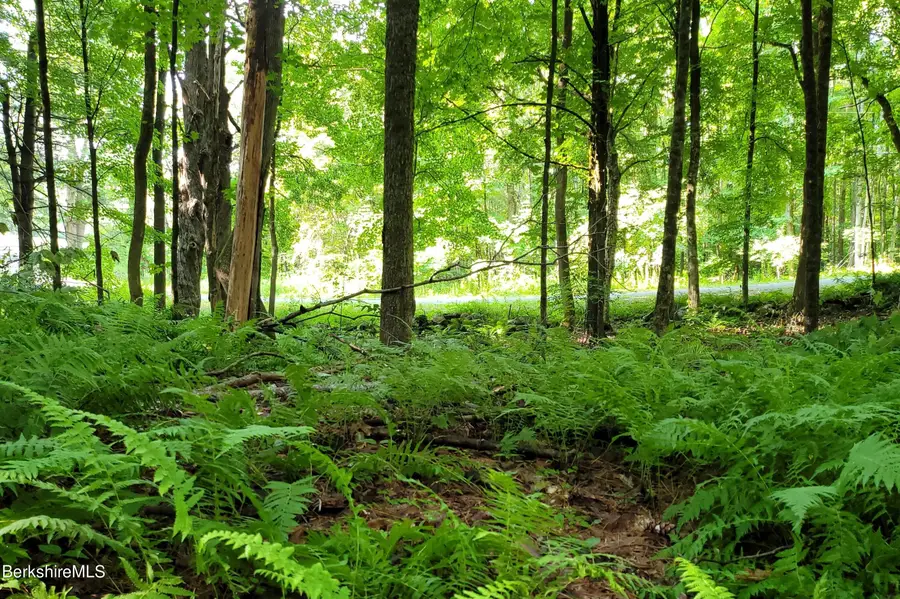 Lot 2B Leland Rd, Becket, MA 01223 - Image #3