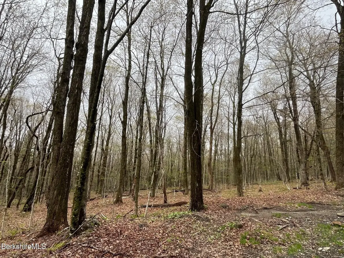 0 Manley Phelps Rd, Monroe, MA 01350 - Image #1