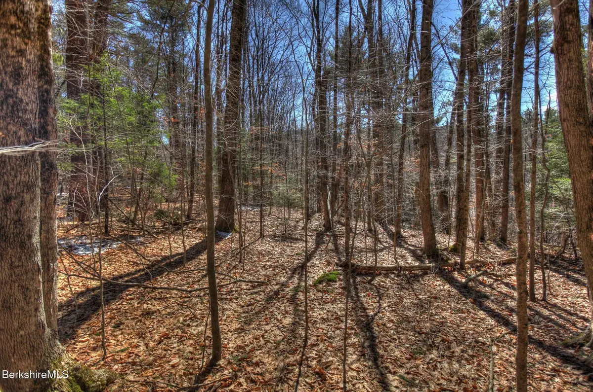 0 Tyringham Rd, Otis, MA 01253 - Image #1