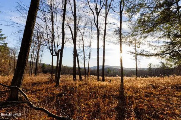 Mitchell St, Hillsdale, NY 12529