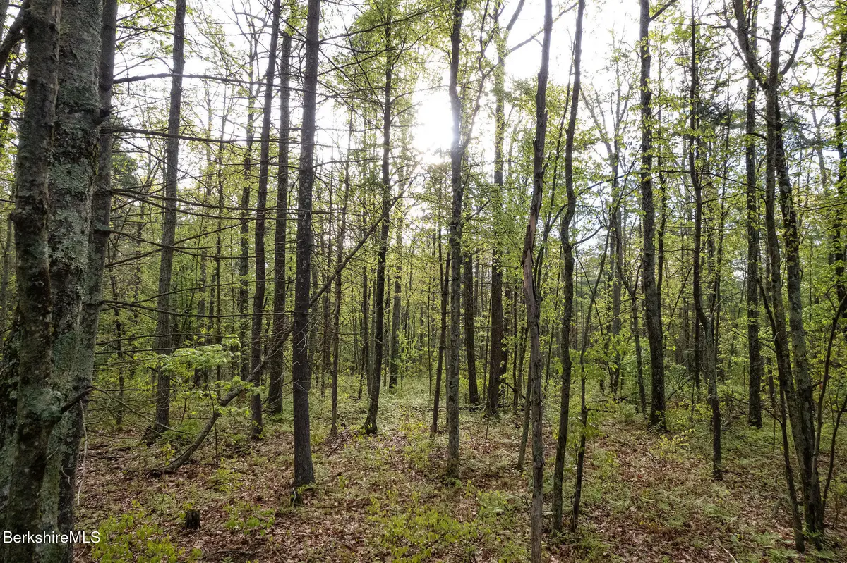 0 Amory Ln, Southfield, MA 01259 - Image #1