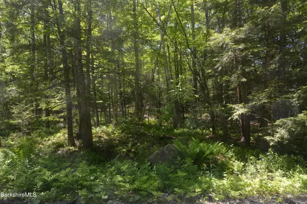 Lot 155 Chippewa Dr, Becket, MA 01223