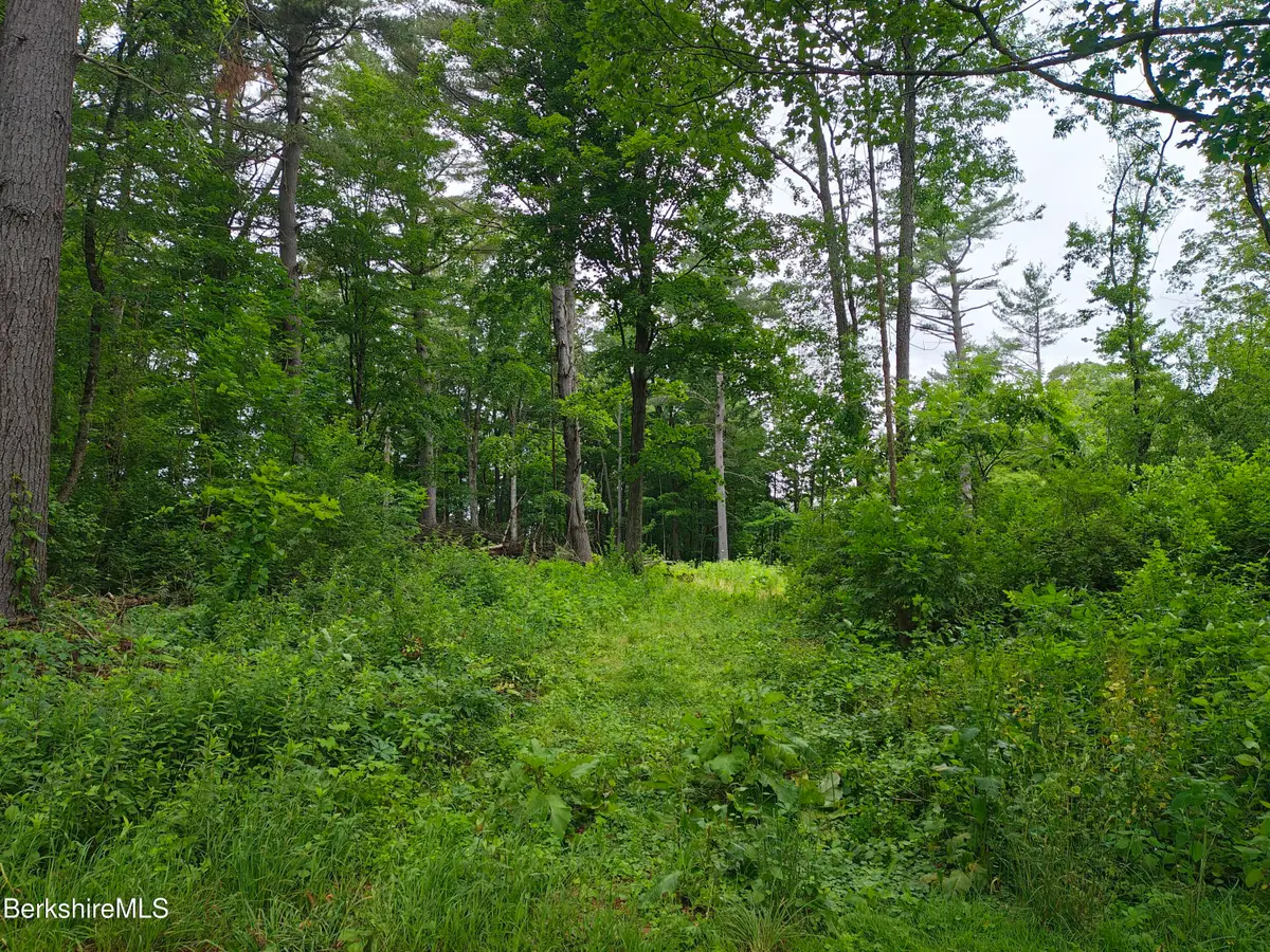 Iroquois St, Lanesborough, MA 01237 - Image #1