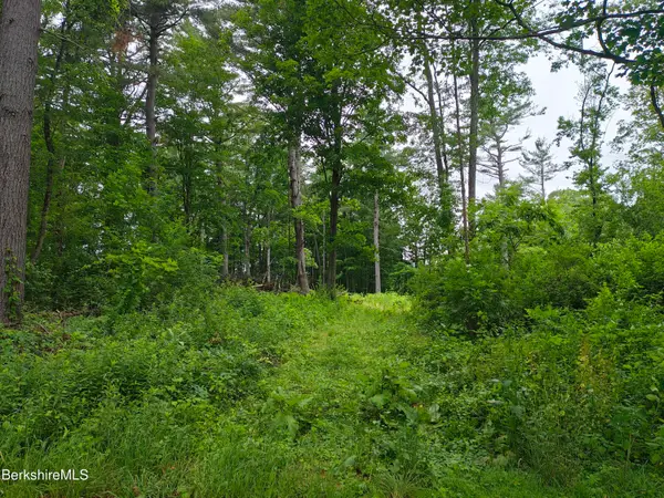 Iroquois St, Lanesborough, MA 01237