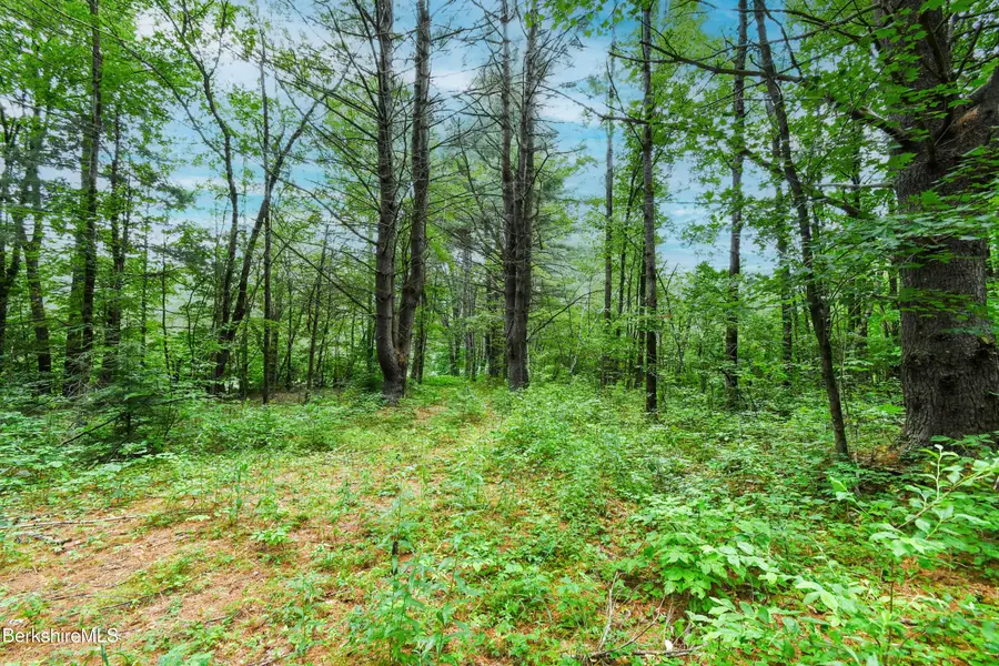 0 Middlefield Rd, Washington, MA 01223 - Image #3