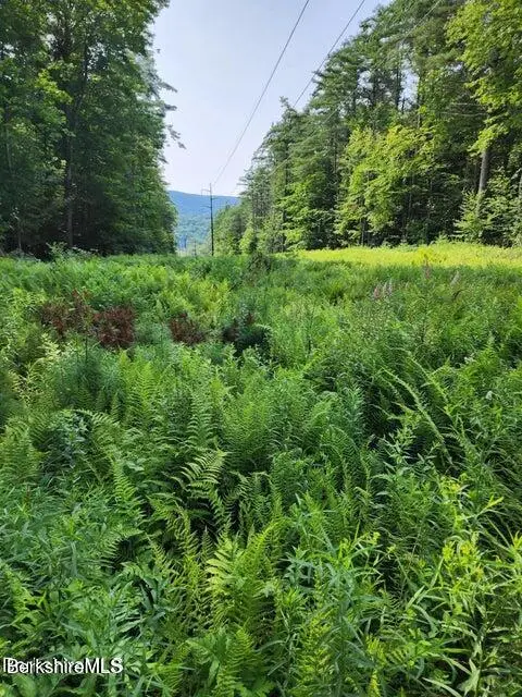 Cross Rd, Clarksburg, MA 01247 - Image #1