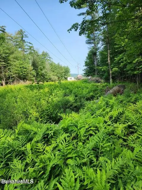 Cross Rd, Clarksburg, MA 01247 - Image #2