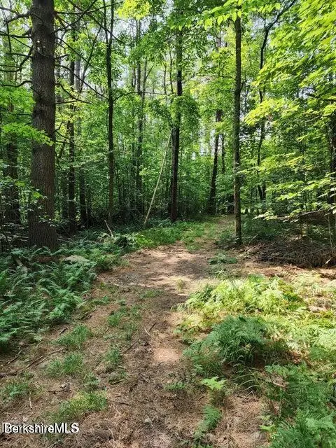 Cross Rd, Clarksburg, MA 01247 - Image #3