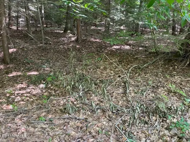 0 Goose Pond Rd, Tyringham, MA 01264 - Image #2