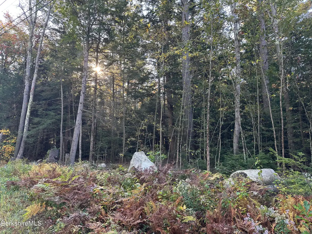 Hopkins Ln, Becket, MA 01223 - Image #1