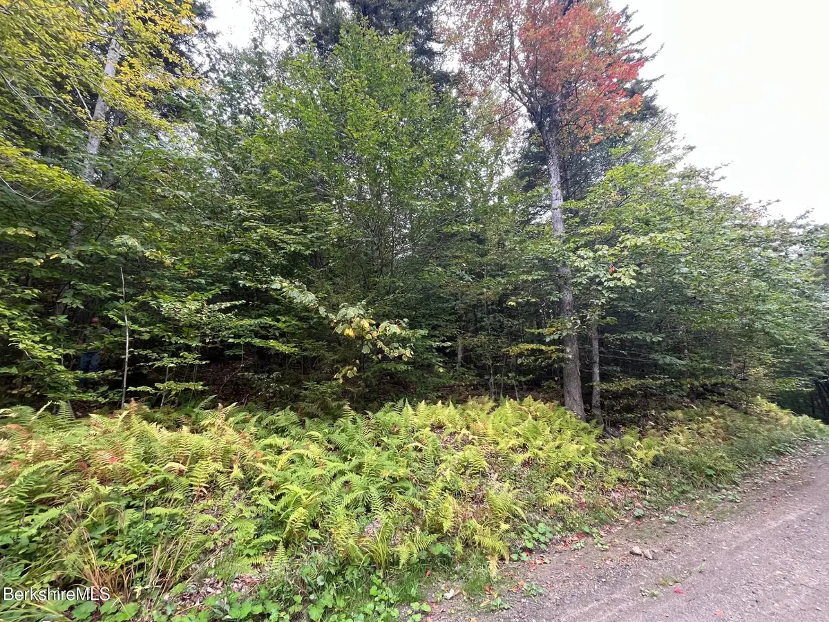 0 Manley Phelps Rd, Monroe, MA 01350 - #1