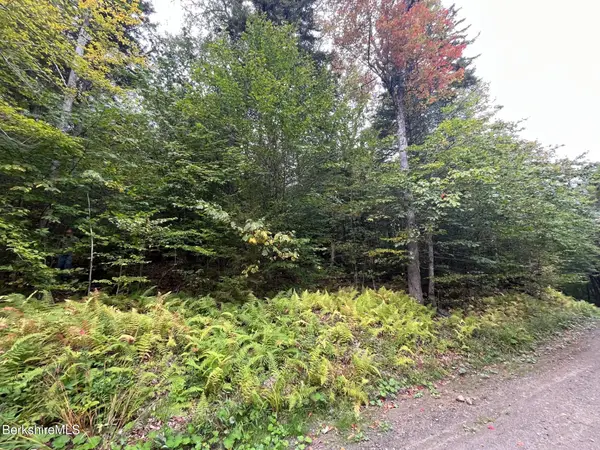 0 Manley Phelps Rd, Monroe, MA 01350