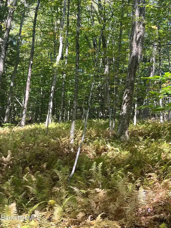 0 Central Shaft Rd, Florida, MA 01247