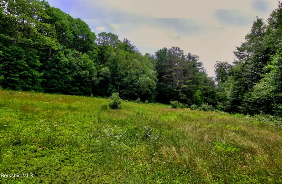66 Scott Rd, Lanesborough, MA 01237 - #2