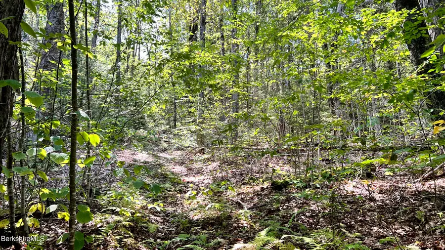 8 Hemlock Rd, Tyringham, MA 01264 - Image #3