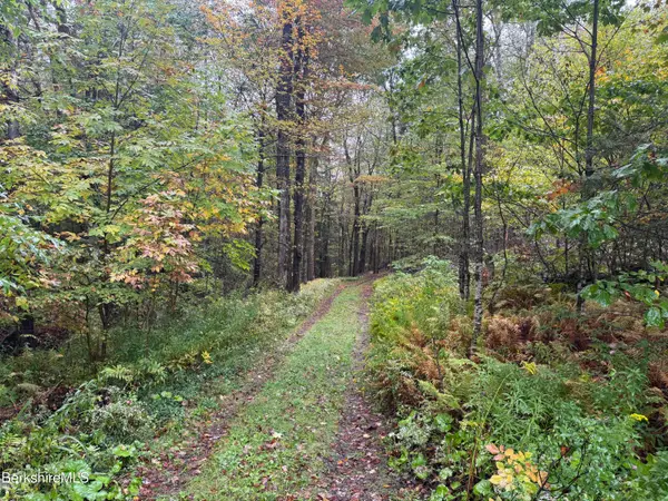 10 Brookside Rd, Peru, MA 01235