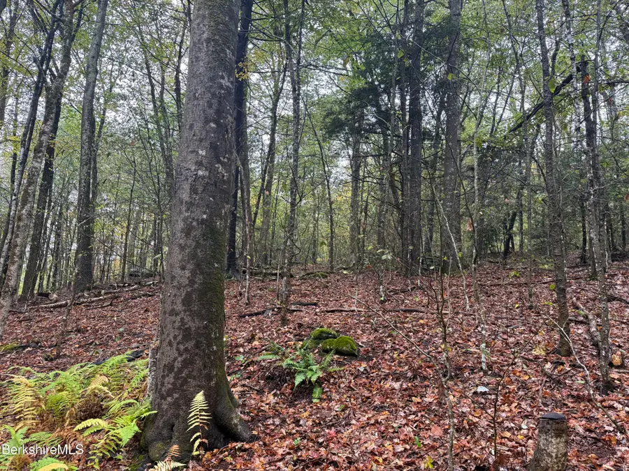 10 Brookside Rd, Peru, MA 01235 - Image #2