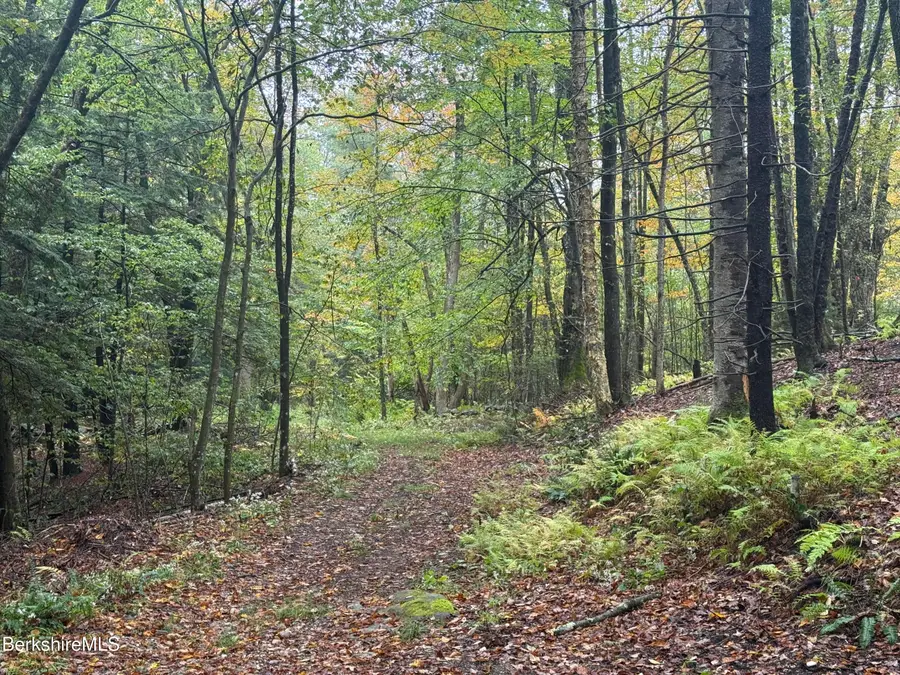 10 Brookside Rd, Peru, MA 01235 - Image #3