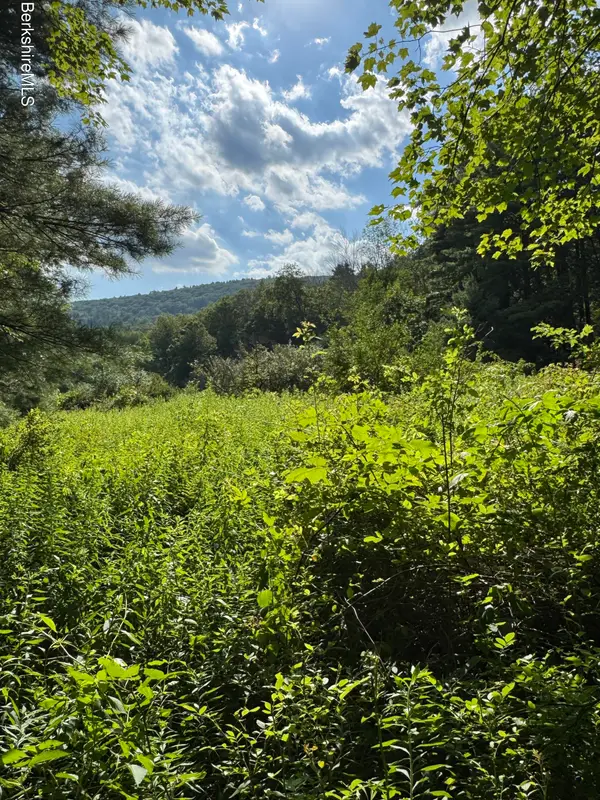 416 West Rd, Alford, MA 01266