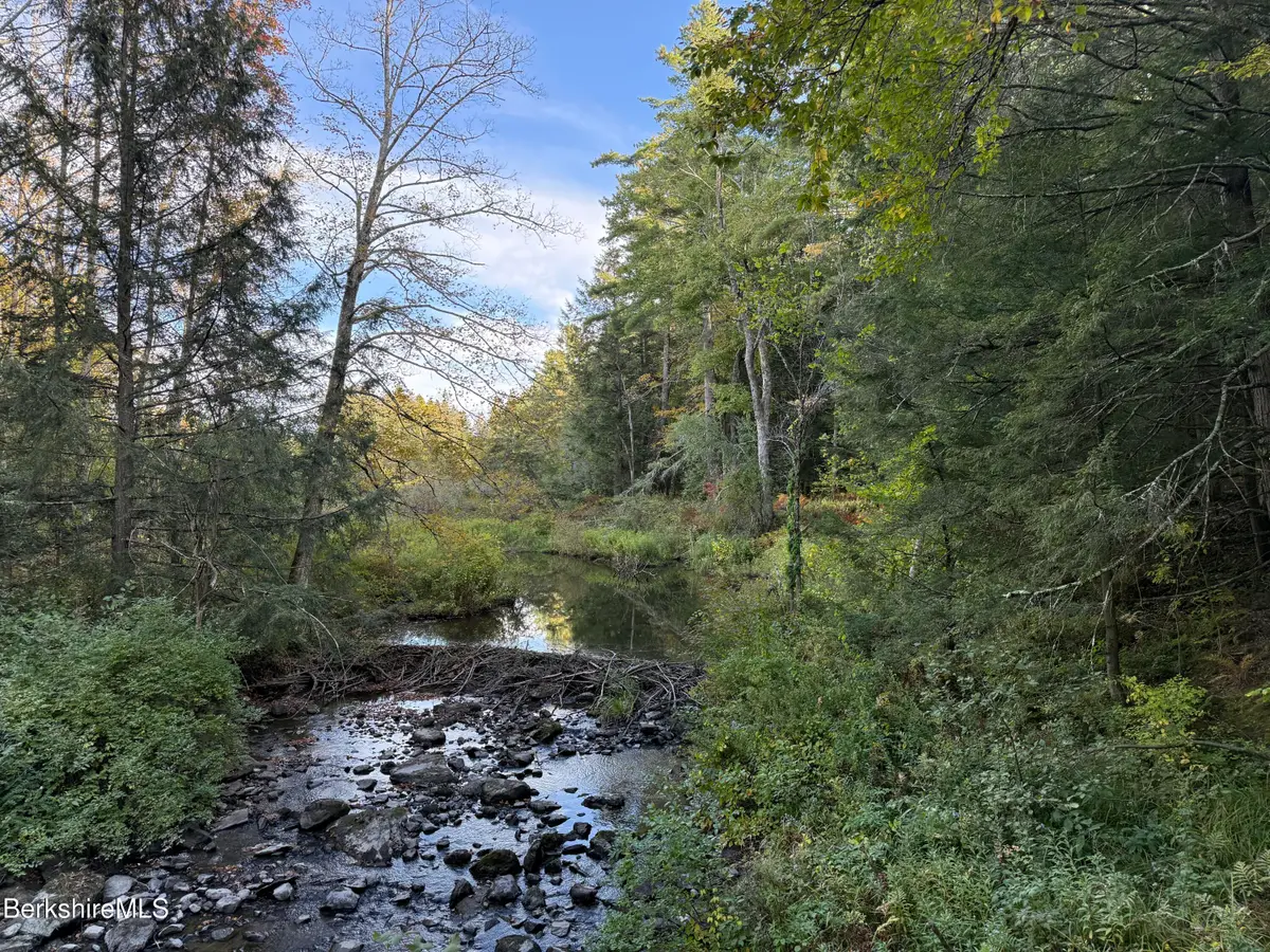 0 Gould Rd, Monterey, MA 01245 - Image #1