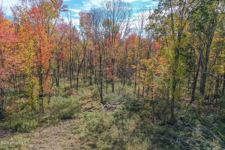 0 Sisson Hill Rd, New Marlborough, MA 01244 - Image #3