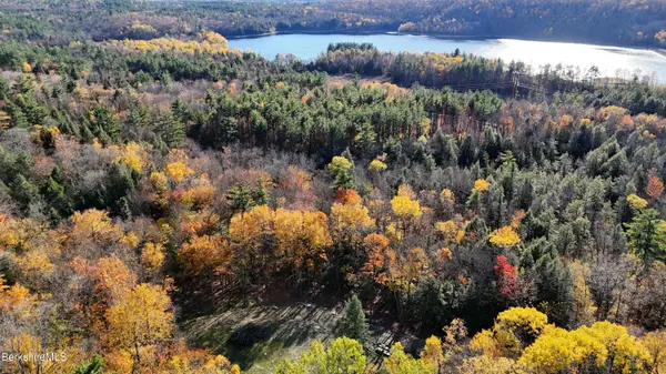 0 Forest Hill Dr. Lots 8 & 9 --, Hinsdale, MA 01235