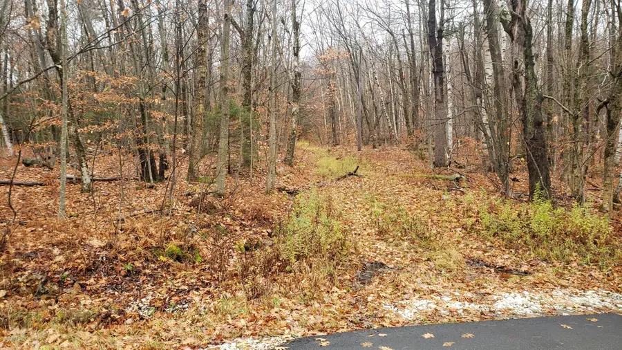 0 Stryker Rd, Florida, MA 01247 - Image #3