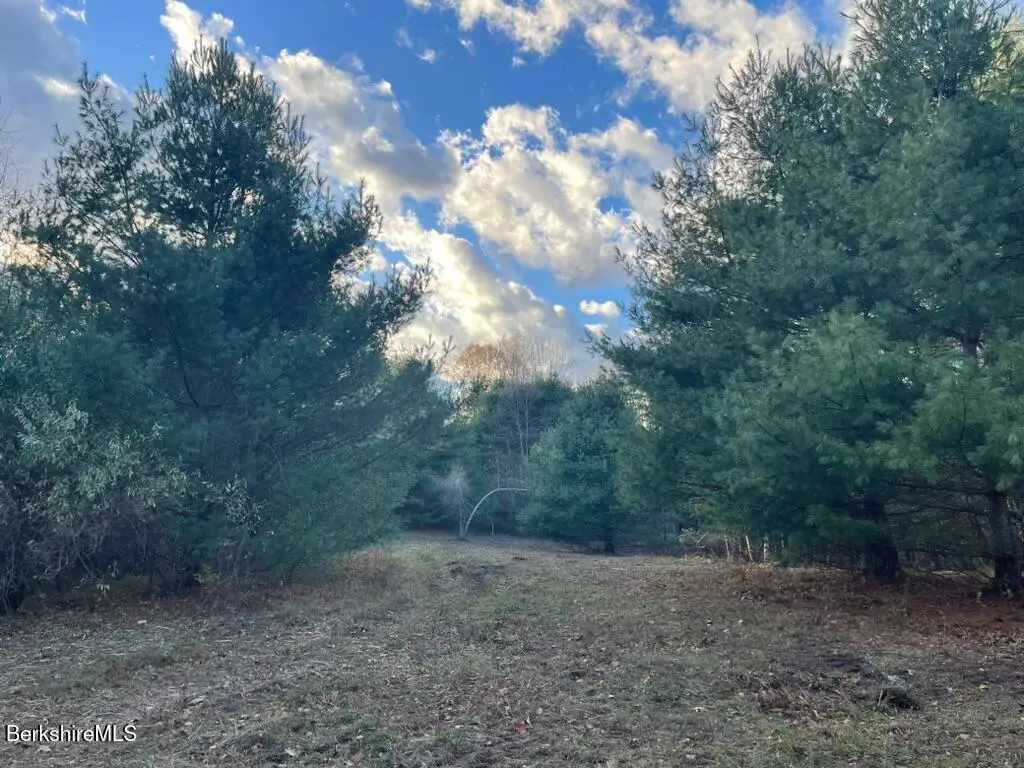 0 Balance Rock Rd, Lanesborough, MA 01237 - Image #1