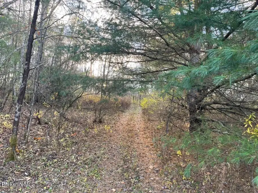 0 Balance Rock Rd, Lanesborough, MA 01237 - Image #3
