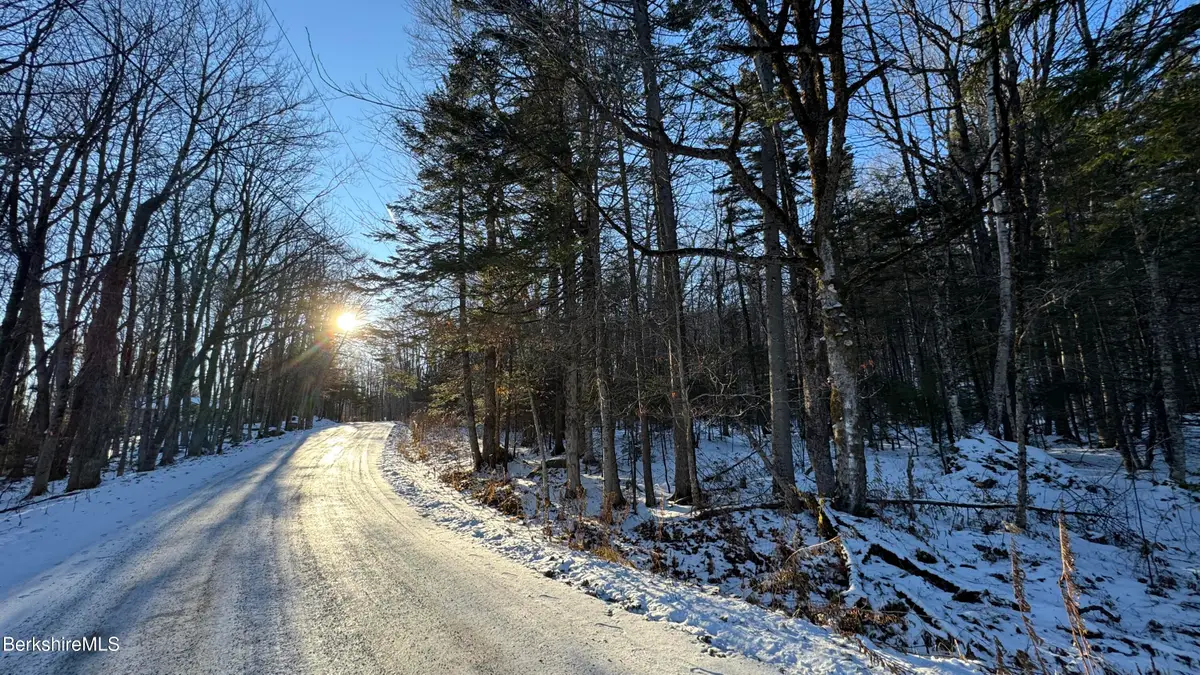 lot139&140 Bergrucken Ln, Readsboro, VT 05350 - Image #1