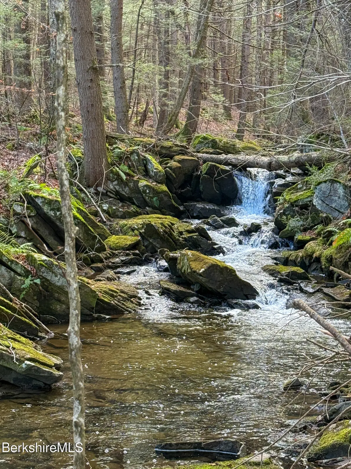 LOT 8 Benton Hill Rd, Becket, MA 01223 - Image #1