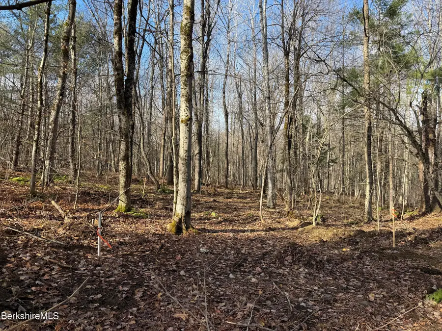 LOT 8 Benton Hill Rd, Becket, MA 01223 - Image #3