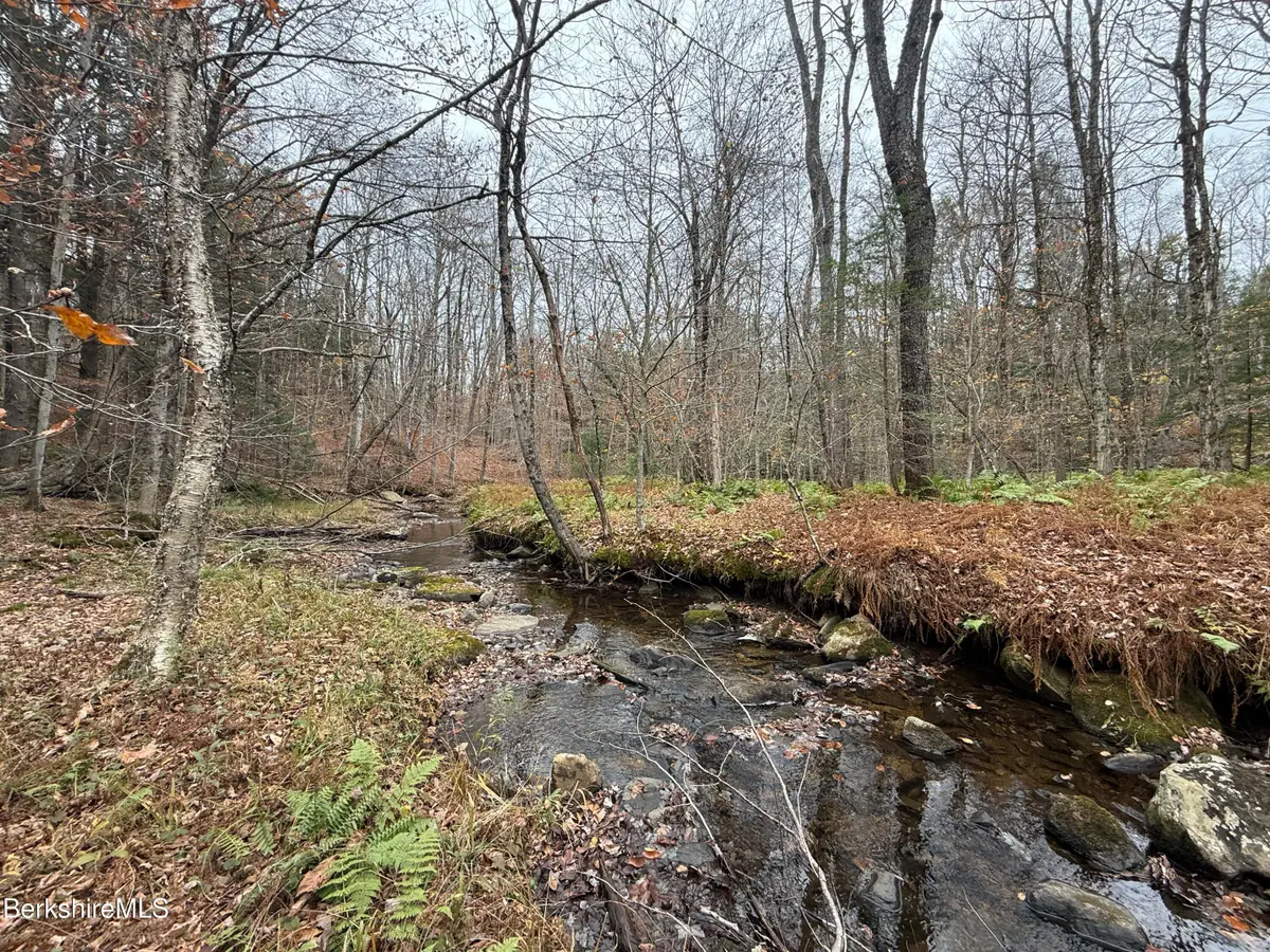 LOT9 Benton Hill Rd, Becket, MA 01223 - Image #1