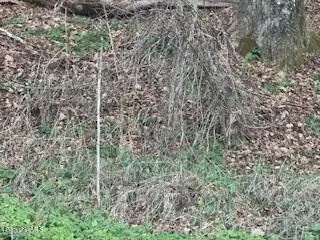 0 Clayton Mill River Rd, New Marlborough, MA 01244 - Image #1