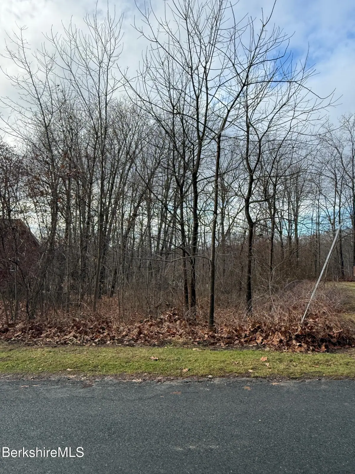 I11001904 Scammell Ave & Brown St., Pittsfield, MA 01201 - Image #1