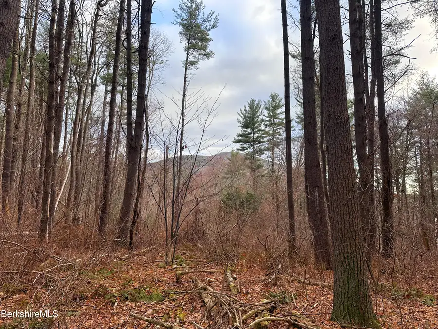 0 Glendale Rd, Stockbridge, MA 01262 - Image #3