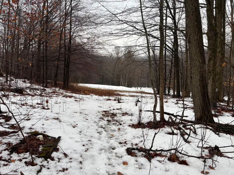 159 Simmons Rd, Washington, MA 01223 - Image #3