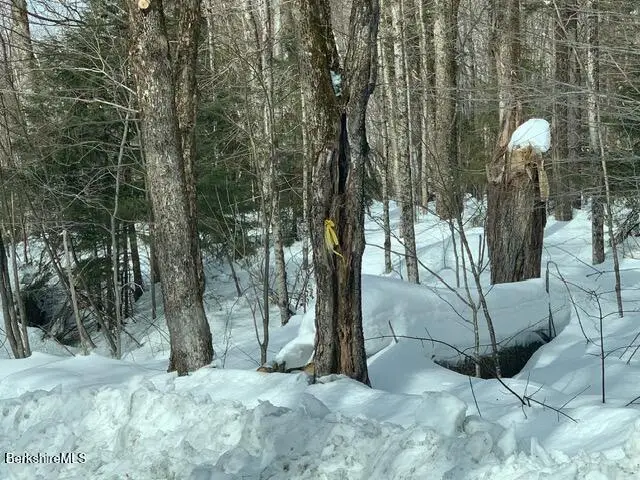 87 North Rd, Monroe, MA 01350 - #2