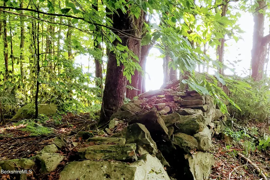 Lot 2 Leland Rd, Becket, MA 01223 - #2