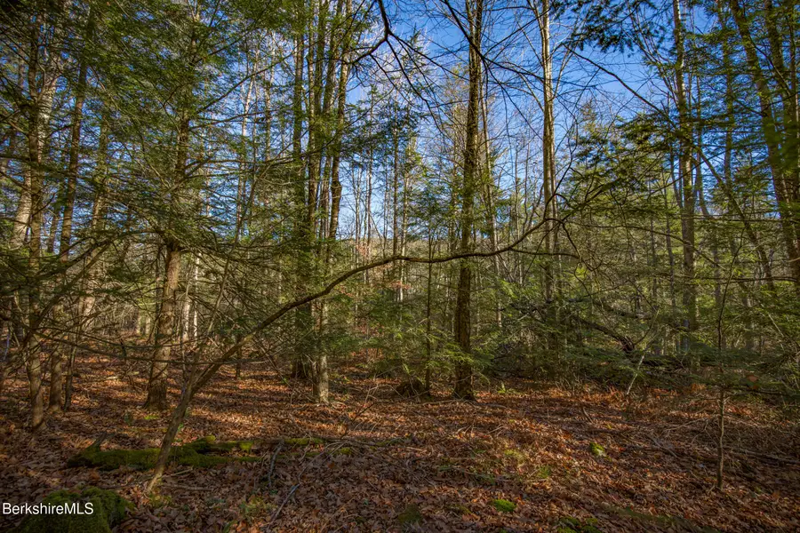 0 Goose Pond Rd, Tyringham, MA 01264 - #3