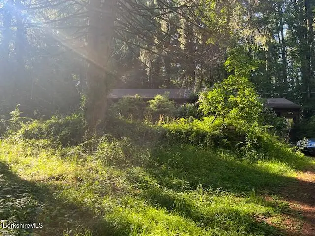 1089 Canaan Southfield Rd, Southfield, MA 01259 - #2