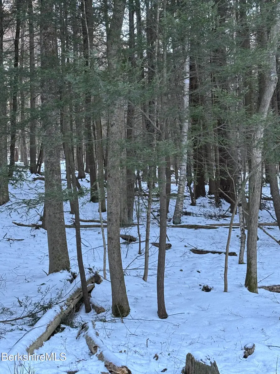 Lot 5-7 Partridge Rd, Lanesborough, MA 01237 - #2