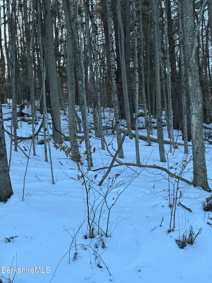 Lot 5-7 Partridge Rd, Lanesborough, MA 01237 - #3