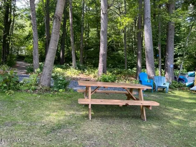 0 Goose Pond Rd, Tyringham, MA 01264 - #3